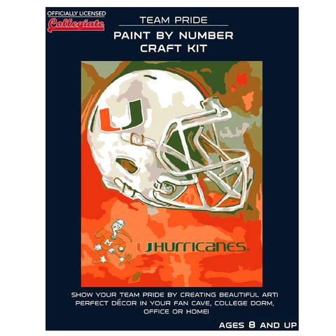 NFL Miami Dolphins Team Pride Paint by Number Craft Kit, 1 ct