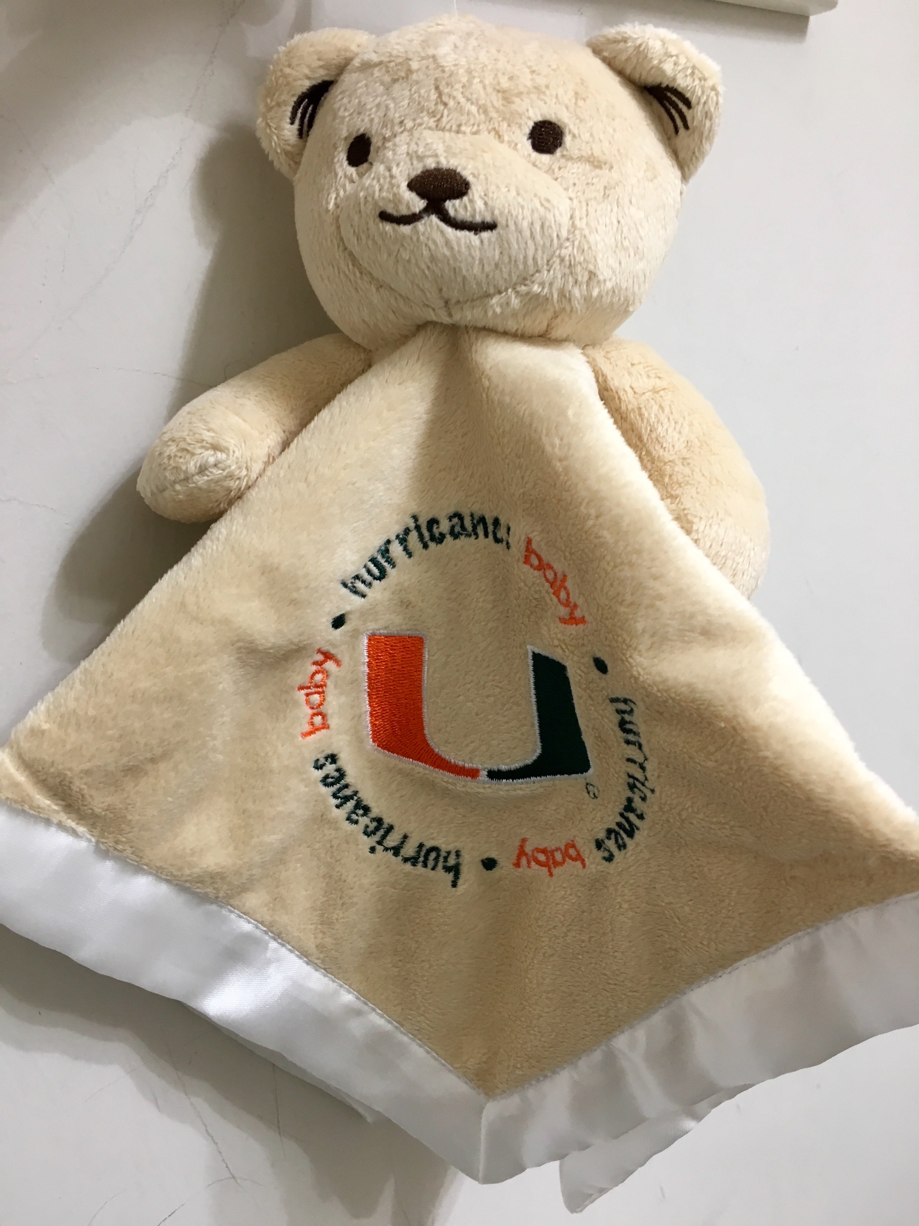 Teddy Bear 12” Miami Dolphins Stuffed Animal