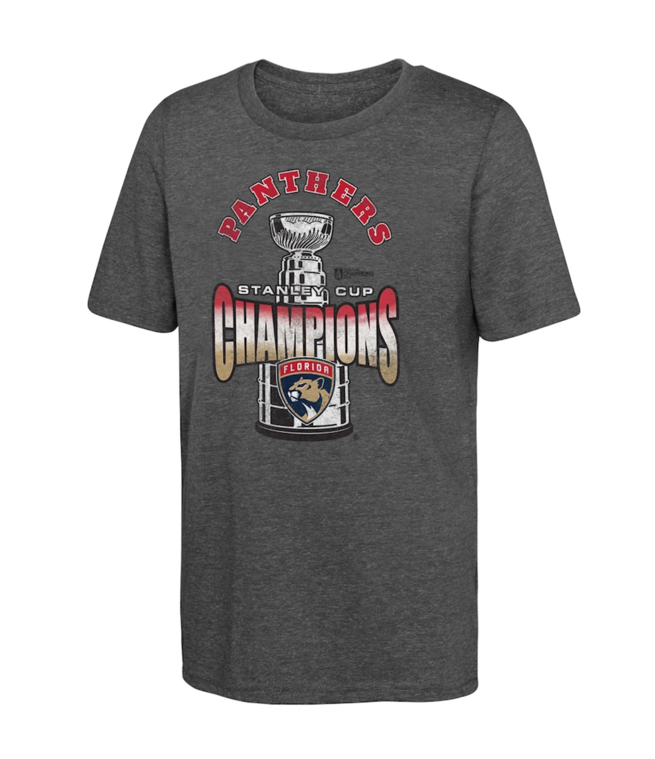 Florida Panthers Youth NHL Stanley Cup Champions Tri-Blend T-Shirt - Charcoal