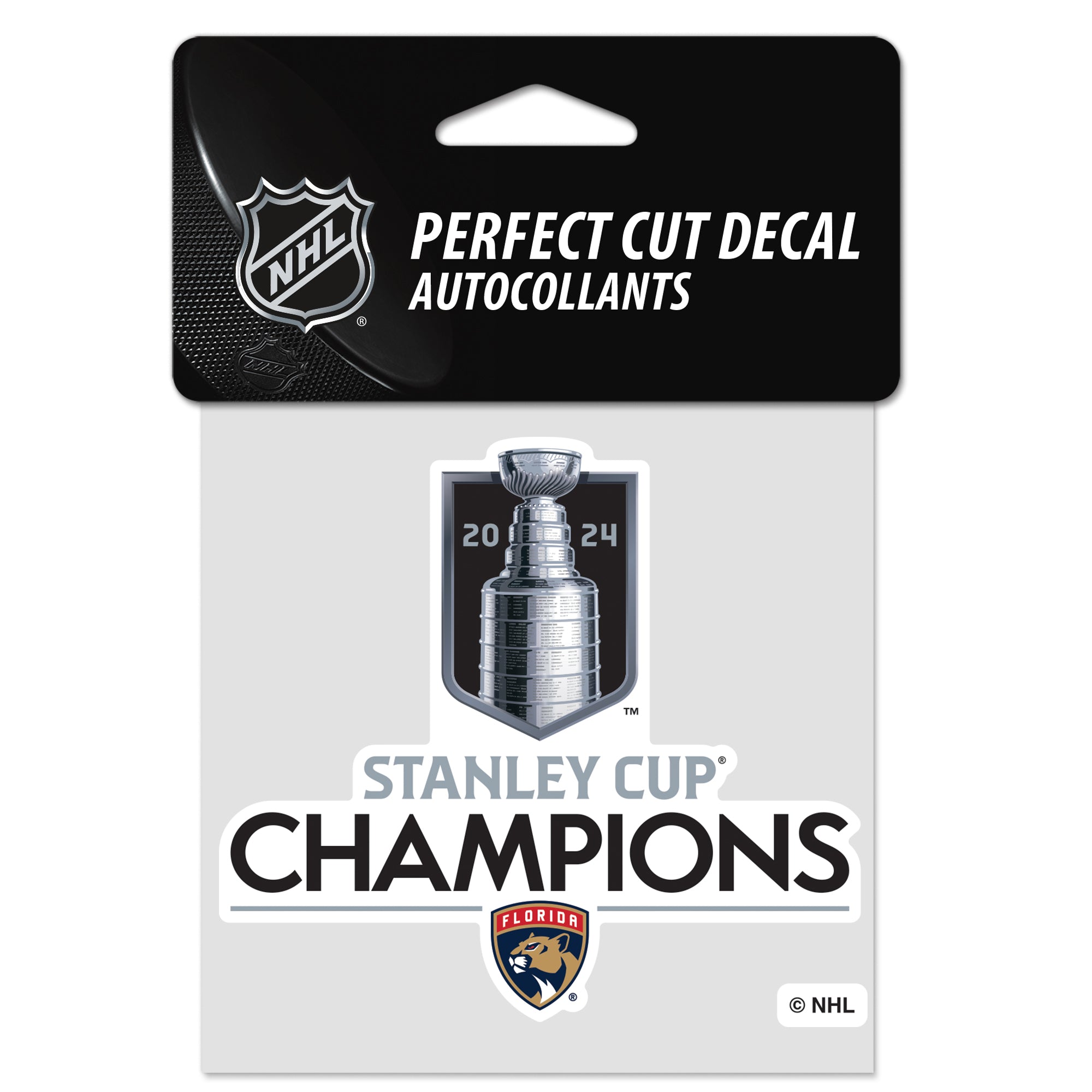 Florida Panthers 2024 Stanley Cup Champions 4 x 4 Perfect Cut Decal - Color